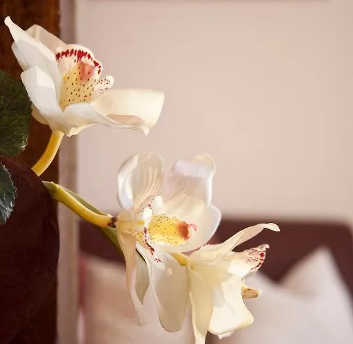 Fliana Mathon/ischgl Appartement Ischgl